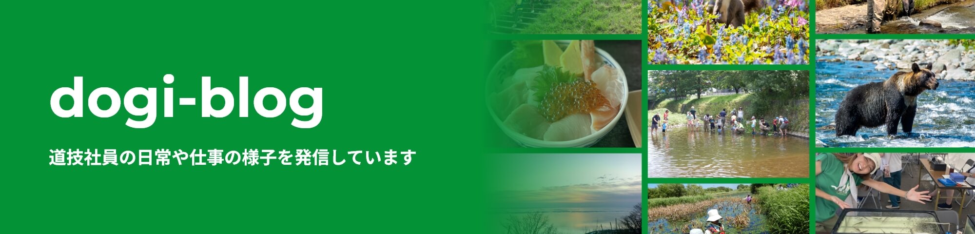 dogi-blog 道枝社員の日常や仕事の様子を発信しています